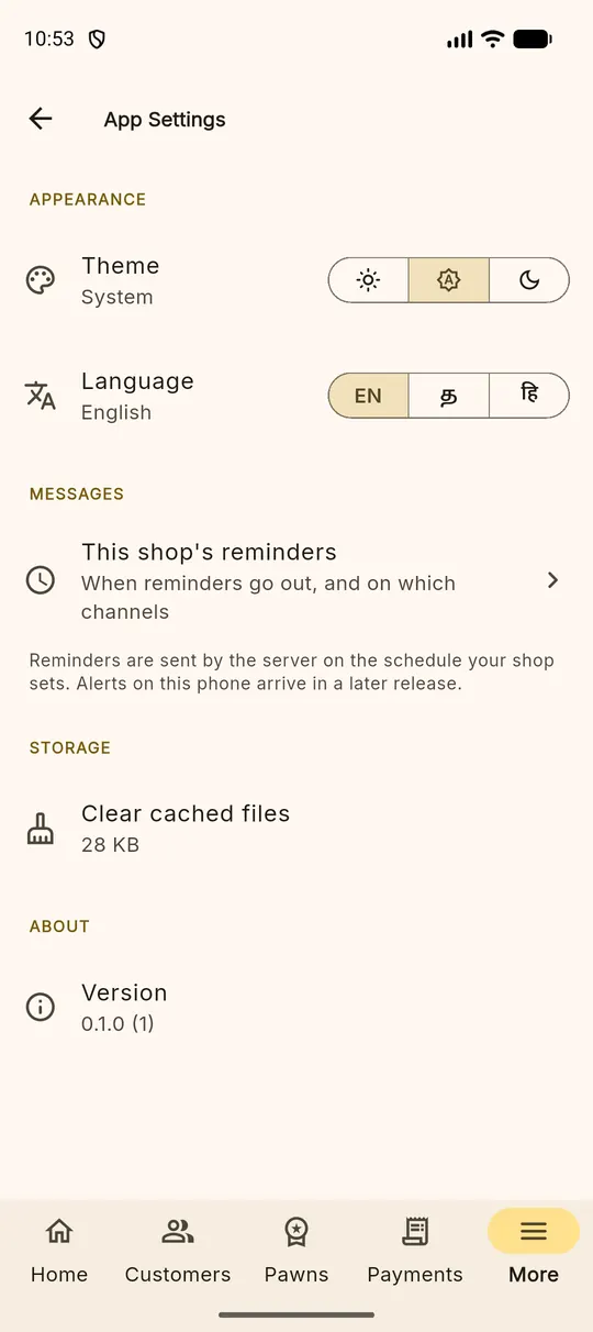 App settings showing theme, language, reminders shortcut, cached files and version